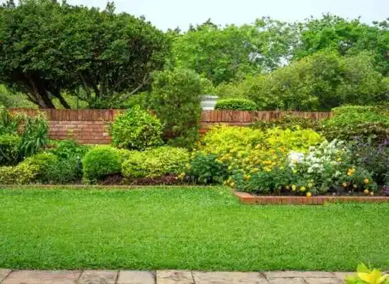 landscaping services Pocomoke City